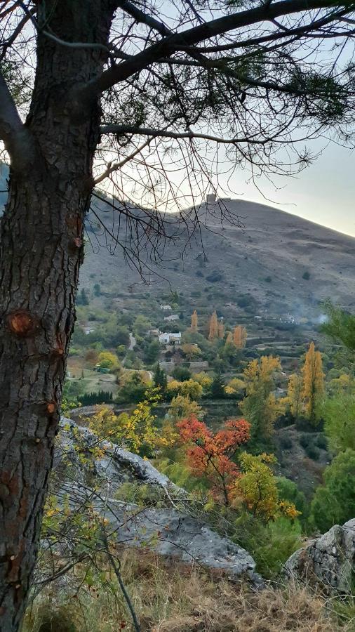 Alojamiento Rural Fuente De La Glorieta Cazorla Kültér fotó